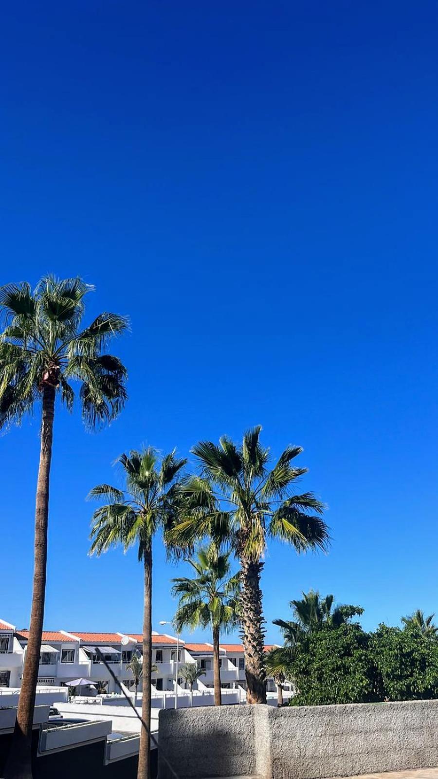 Las Americas - Garden City Costa Adeje Dış mekan fotoğraf